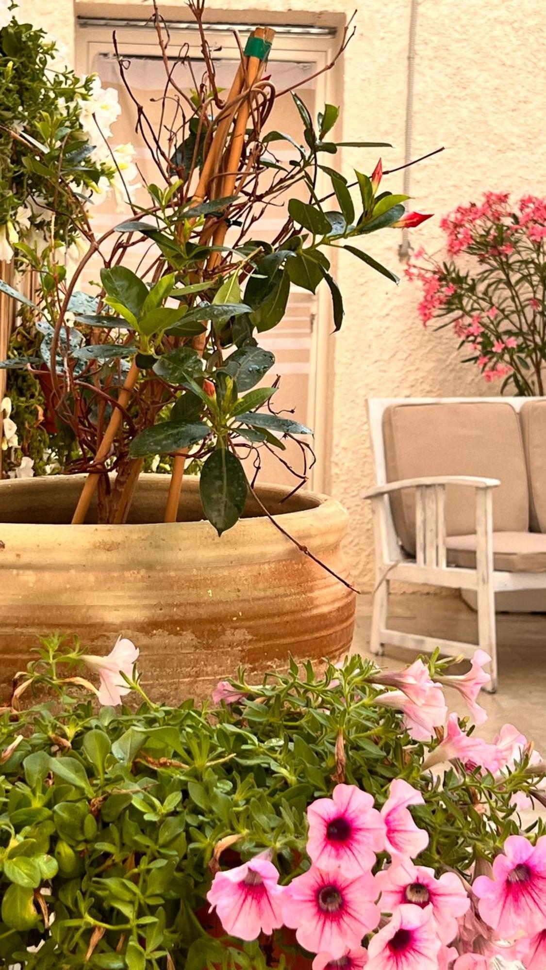 Dimora Donna Vitalia Apartments Trapani Exteriér fotografie
